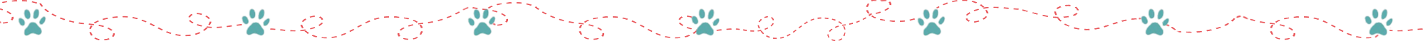 paw border paw border